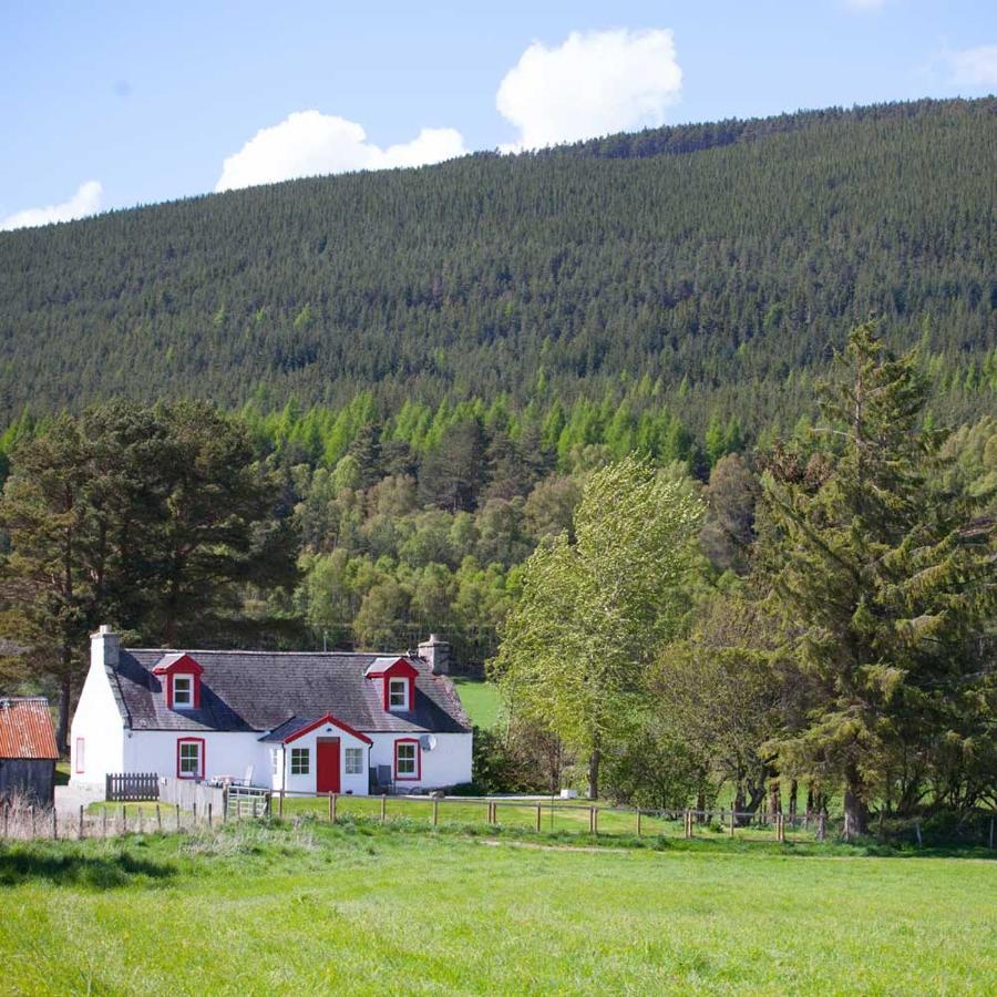 The Croft Cottage - Near Авимор Екстериор снимка